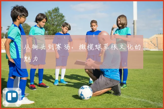 从街头到赛场,橄榄球草根文化的魅力